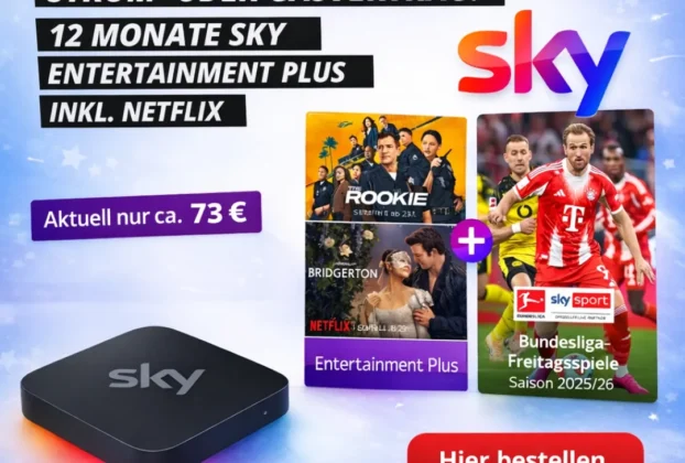 Ewieeinfach Skyinklnetflix Hier Bestellen