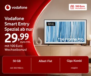 Samsung The Frame Pro 65 mit Vodafone Smart Entry Spezial