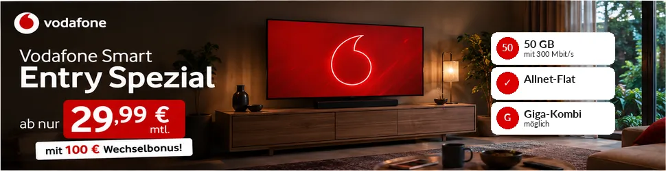 Samsung The Frame Pro 65 Zoll mit Vodafone Vertrag