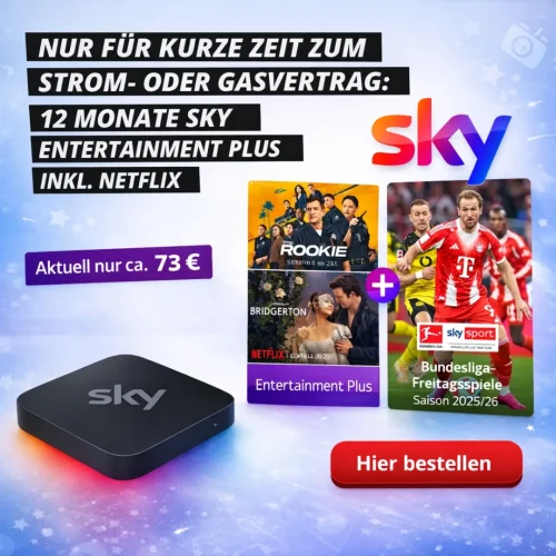 Ewieeinfach Skyinklnetflix Hier Bestellen