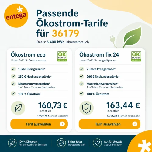 Vergleichsratgeber Entega Oekostrom Deal