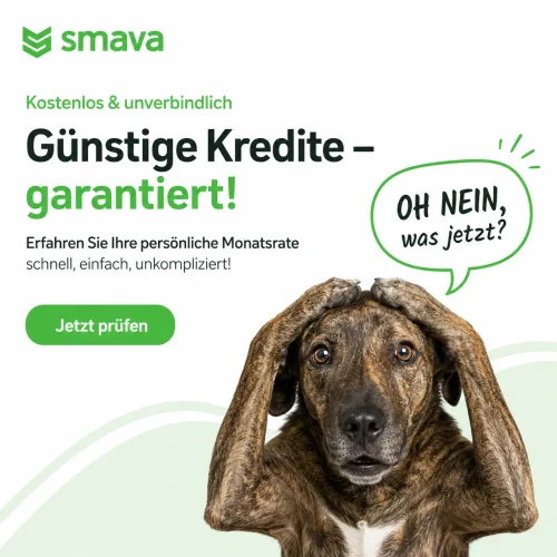 Smava Kreditanfragen Schnelle Auszahlung